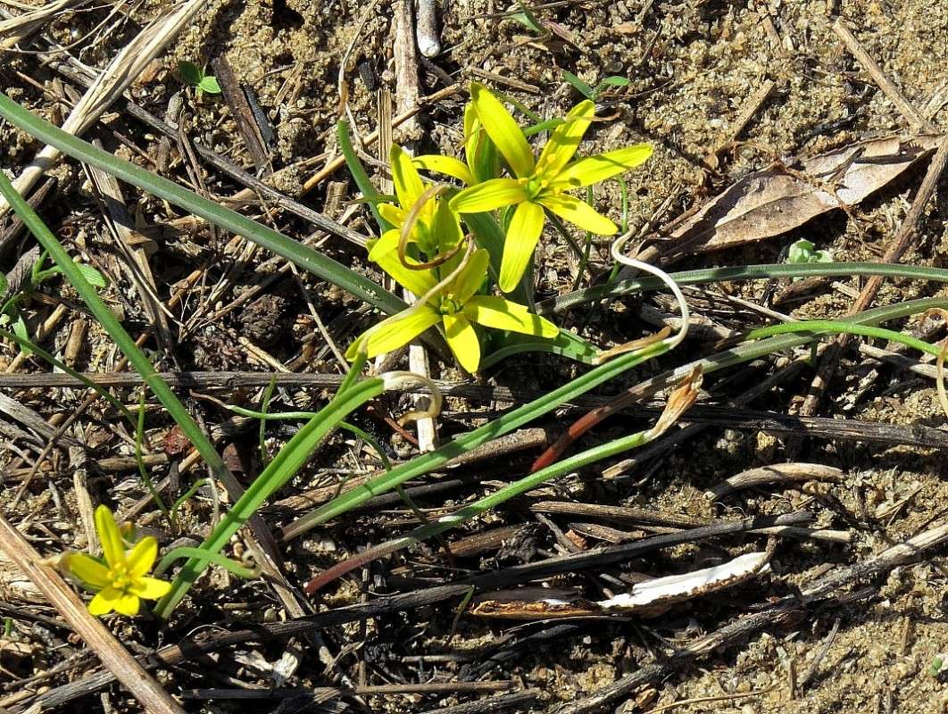 � � ��� ��������� �������� ������ ����� Natali  ��������� �� PhotoGeek.ru #������ ��� ������� #����� ��������������