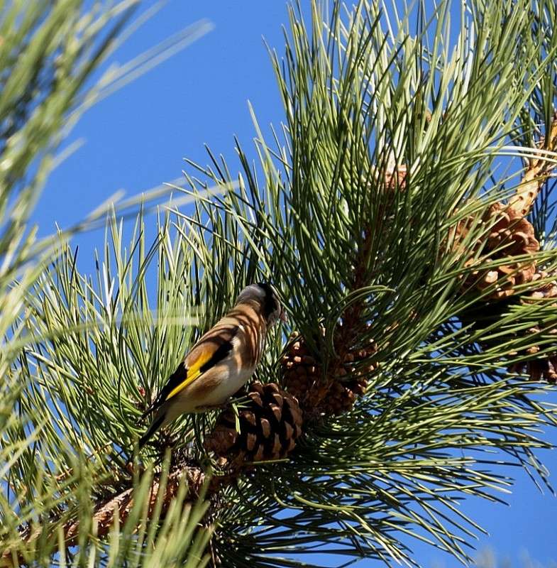 �������� ����� ))) ����� Natali  ��������� �� PhotoGeek.ru #�������� ��� #����� ��� ��� ���������