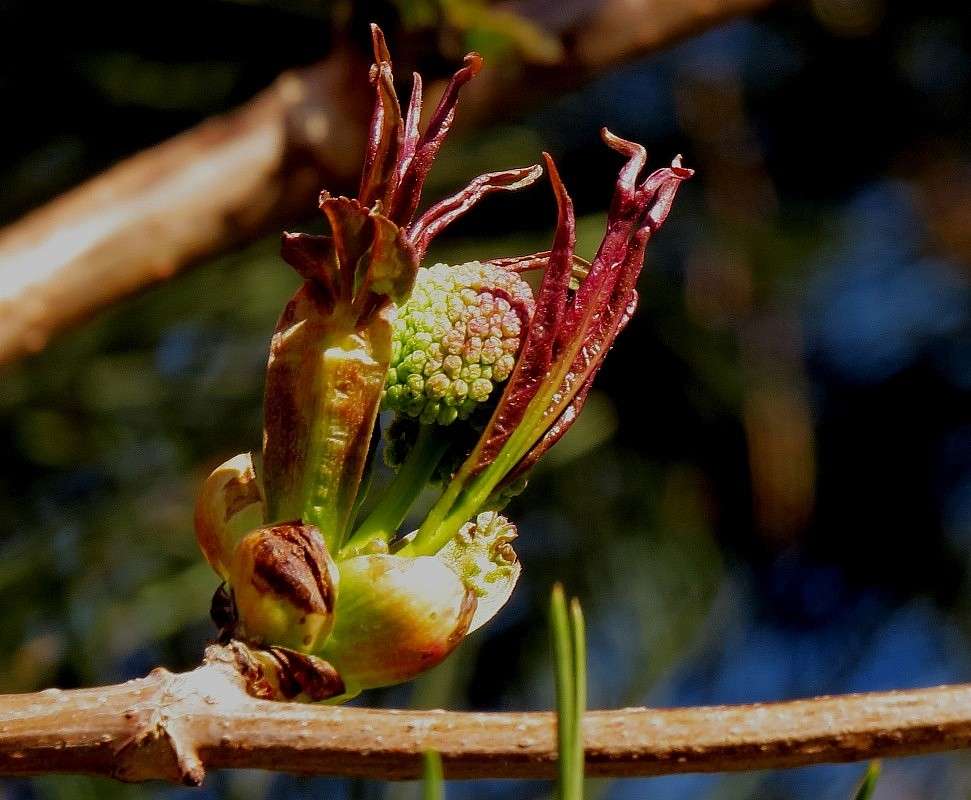 � ������� ������ .... ))) ����� Natali  ��������� �� PhotoGeek.ru #������ ��� ������� #����� ��������������