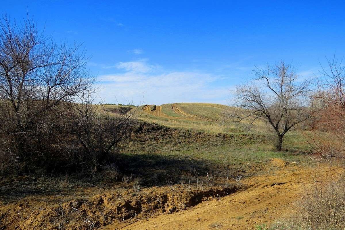 ��, ������... ����� Natali  ��������� �� PhotoGeek.ru #������ ��� �������