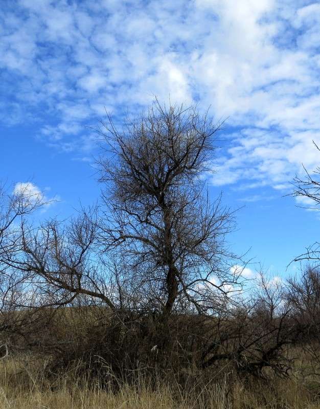 ������� ... ) ����� Natali  ��������� �� PhotoGeek.ru #������ ��� �������