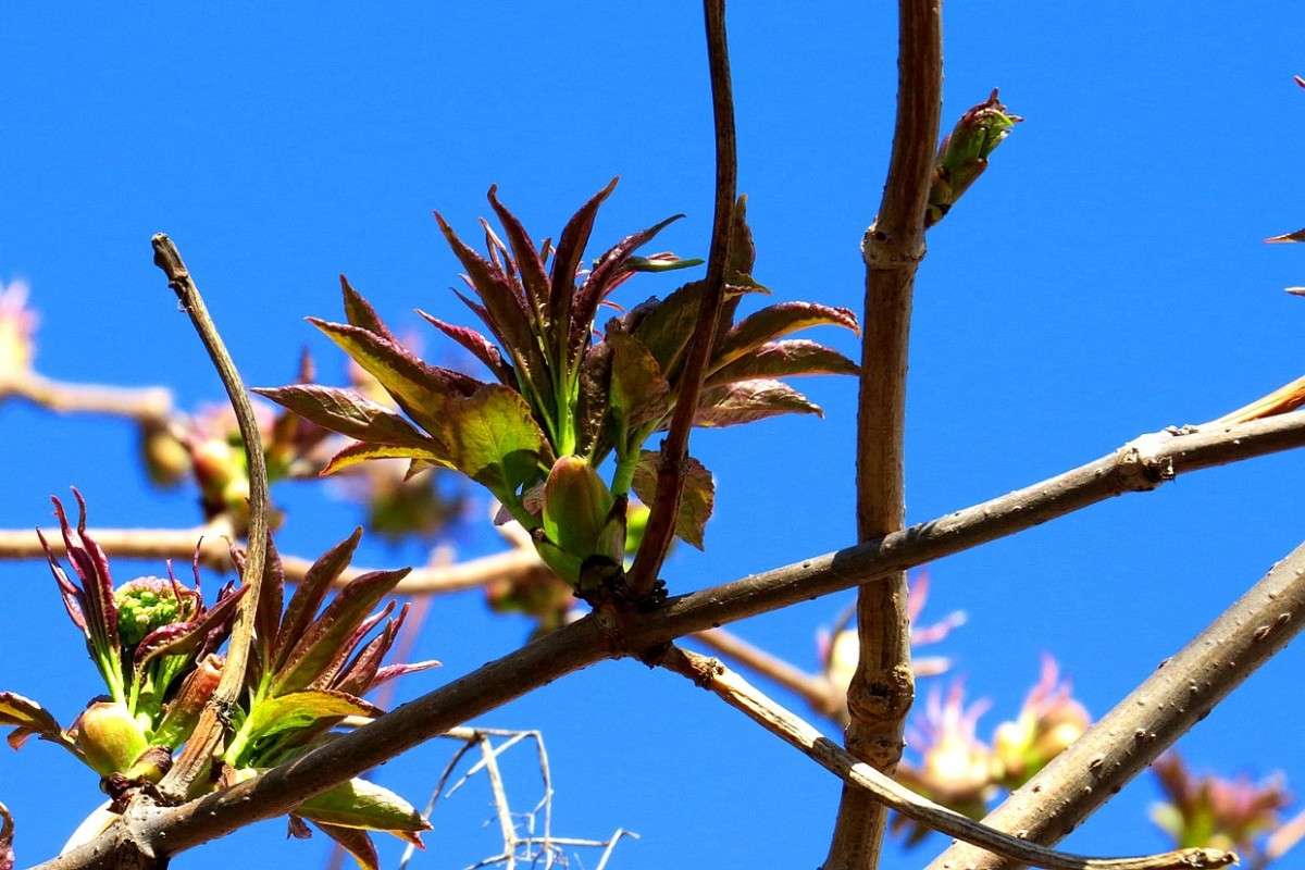 � ������� ������...2... ))) ����� Natali  ��������� �� PhotoGeek.ru #������ ��� ������� #����� ��������������