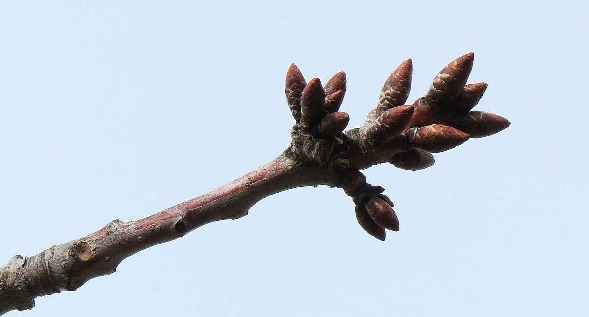 ��������� ����� ������ .... ) ����� Natali  ��������� �� PhotoGeek.ru #������ ��� ������� #����� ��������������