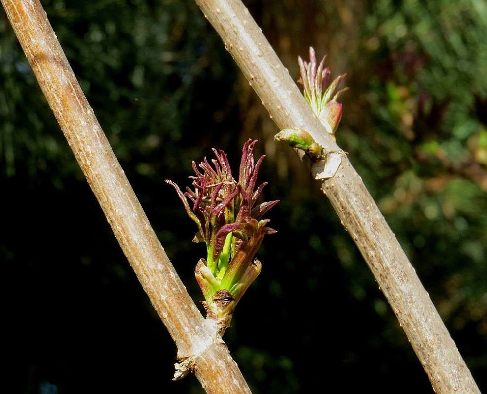 ���������... ����� Natali  ��������� �� PhotoGeek.ru #������ ��� ������� #����� ��������������