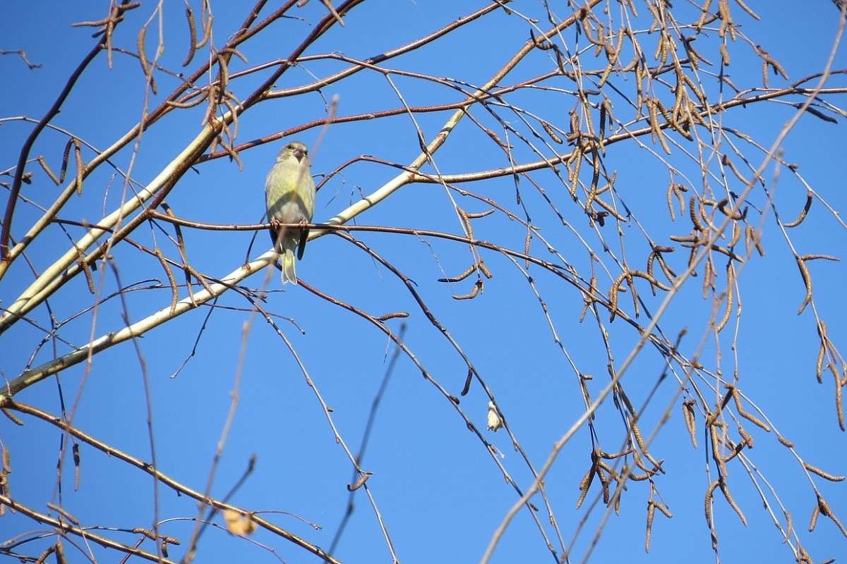 �� ����� � ������ ����� Natali  ��������� �� PhotoGeek.ru #�������� ��� #����� ��� ��� ���������