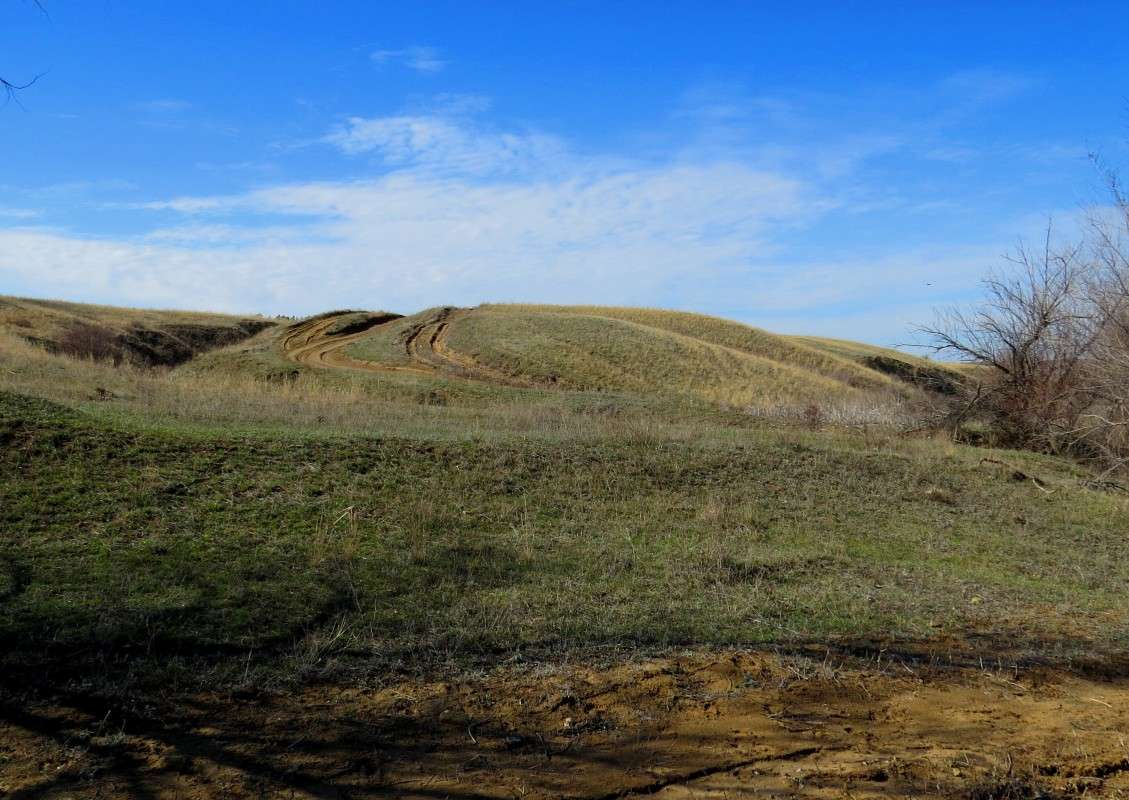 �� ������� � �� �������� .... ) ����� Natali  ��������� �� PhotoGeek.ru #������ ��� �������