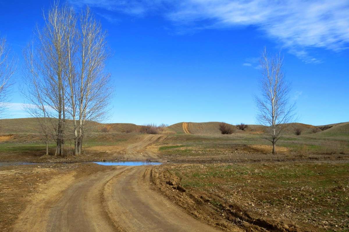 �� ������� � �� �������� 2.... ) ����� Natali  ��������� �� PhotoGeek.ru #������ ��� �������