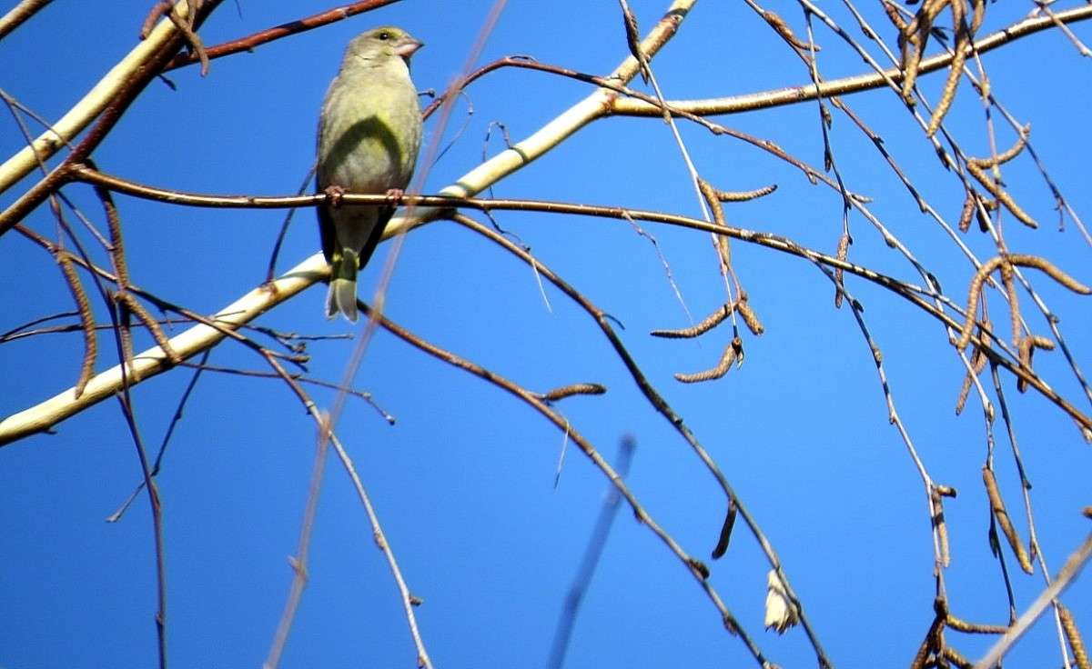 �� ����� � ������ ������ ����  � ����� ... ) ����� Natali  ��������� �� PhotoGeek.ru #�������� ��� #����� ��� ��� ���������