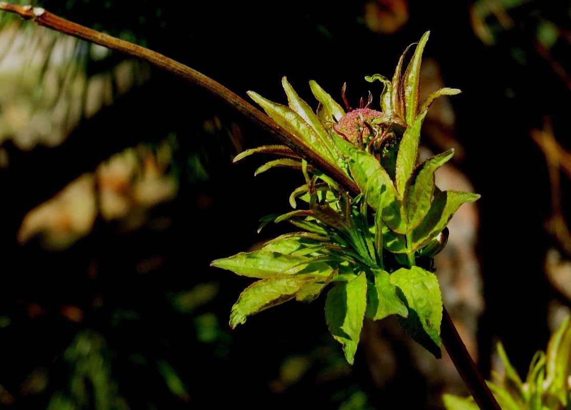 ... ����� Natali  ��������� �� PhotoGeek.ru #������ ��� ������� #����� ��������������