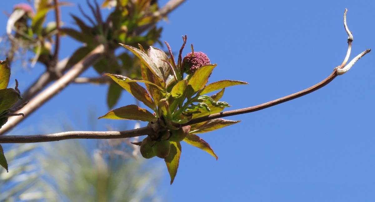 ... ����� Natali  ��������� �� PhotoGeek.ru #������ ��� ������� #����� ��������������