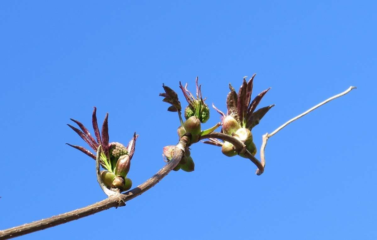 ������ ������ ����� Natali  ��������� �� PhotoGeek.ru #������ ��� ������� #����� ��������������