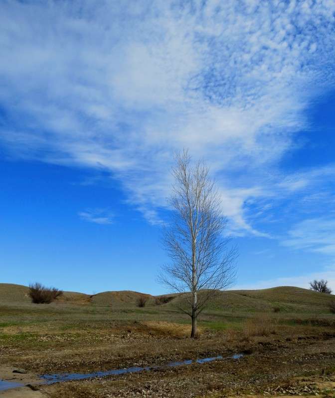 ����������� ����� Natali  ��������� �� PhotoGeek.ru #������ ��� �������