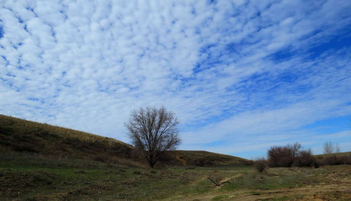 ��� �������� ... ����� Natali  ��������� �� PhotoGeek.ru #������ ��� �������