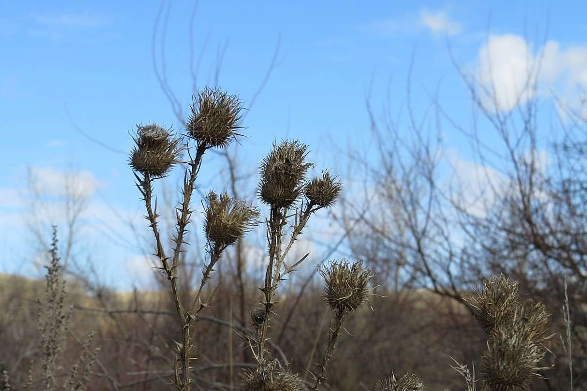 ��������, ������� ... ����� Natali  ��������� �� PhotoGeek.ru #������ ��� ������� #����� ��������������