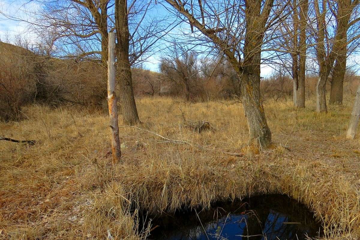 ��� ������� ���� �������� � ���� ���-�� ������ ���� ... ) ����� Natali  ��������� �� PhotoGeek.ru #������ ��� �������