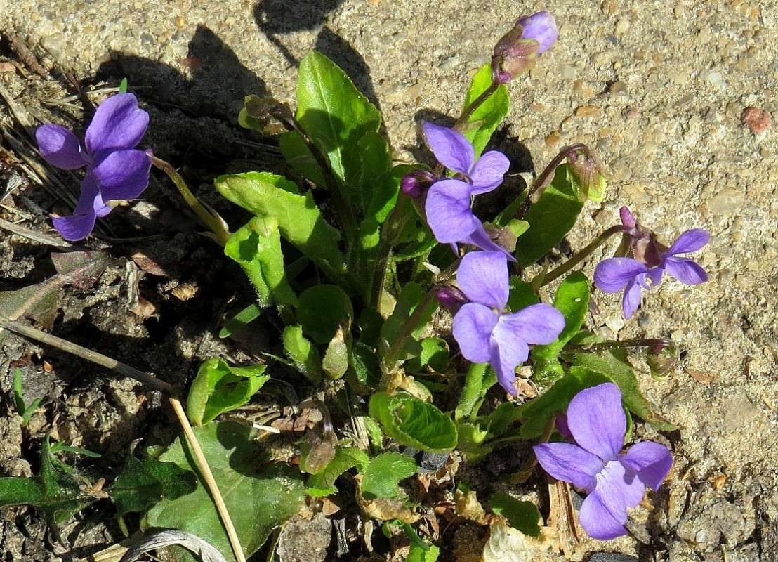 ������������... ) ����� Natali  ��������� �� PhotoGeek.ru #������ ��� ������� #����� ��������������