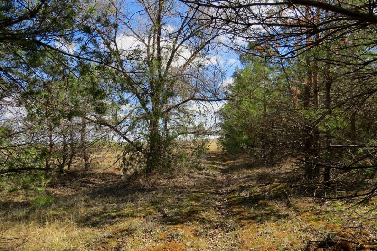 ������� ... ) ����� Natali  ��������� �� PhotoGeek.ru #������ ��� ������� #����� ��������������