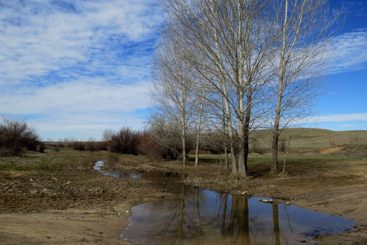 � ����� ����� Natali  ��������� �� PhotoGeek.ru #������ ��� �������