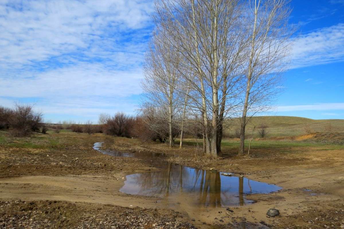 � ����� ...2 ����� Natali  ��������� �� PhotoGeek.ru #������ ��� �������