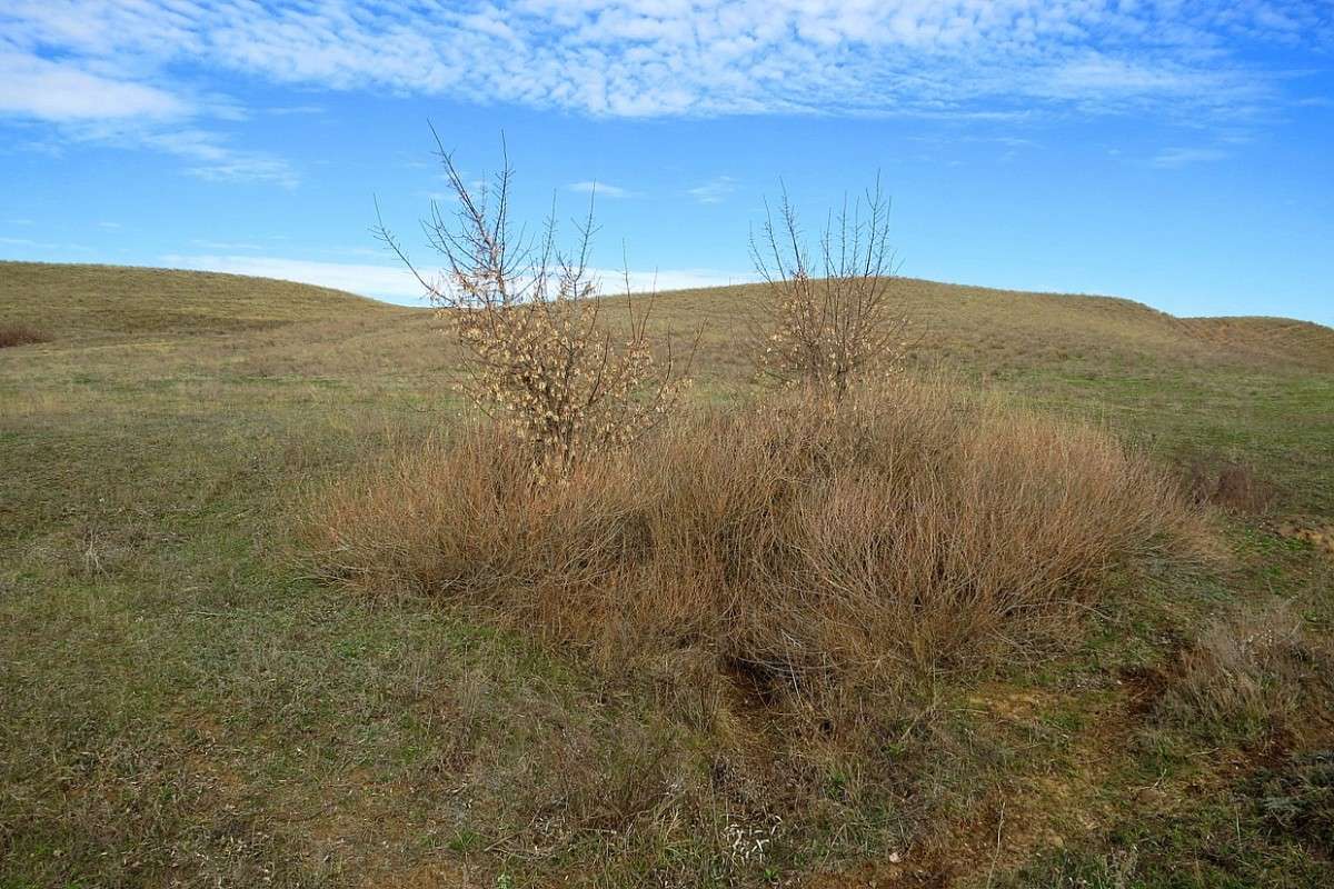 ���� � ������ ... ) ����� Natali  ��������� �� PhotoGeek.ru #������ ��� �������