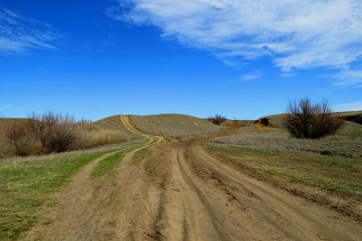 ���2���� ... ) ����� Natali  ��������� �� PhotoGeek.ru #������ ��� �������