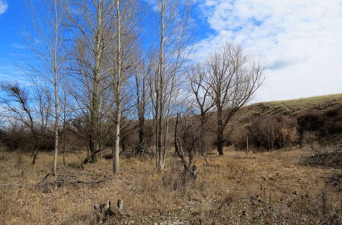 � ��� ������ ... ) ����� Natali  ��������� �� PhotoGeek.ru #������ ��� �������