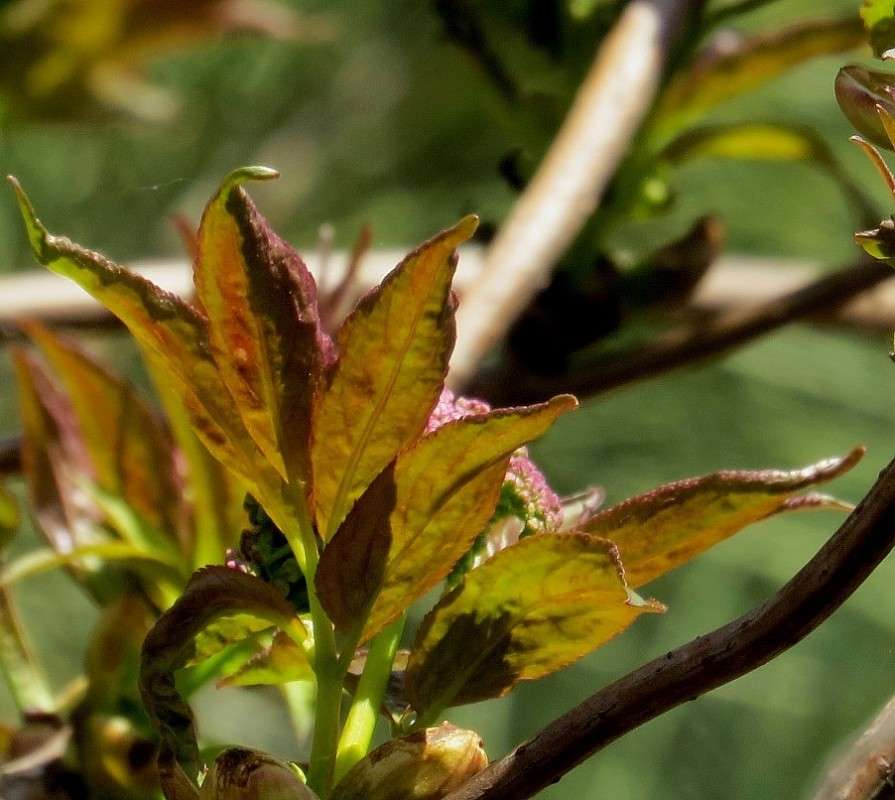 ��� ������� ) ����� Natali  ��������� �� PhotoGeek.ru #����� ��������������