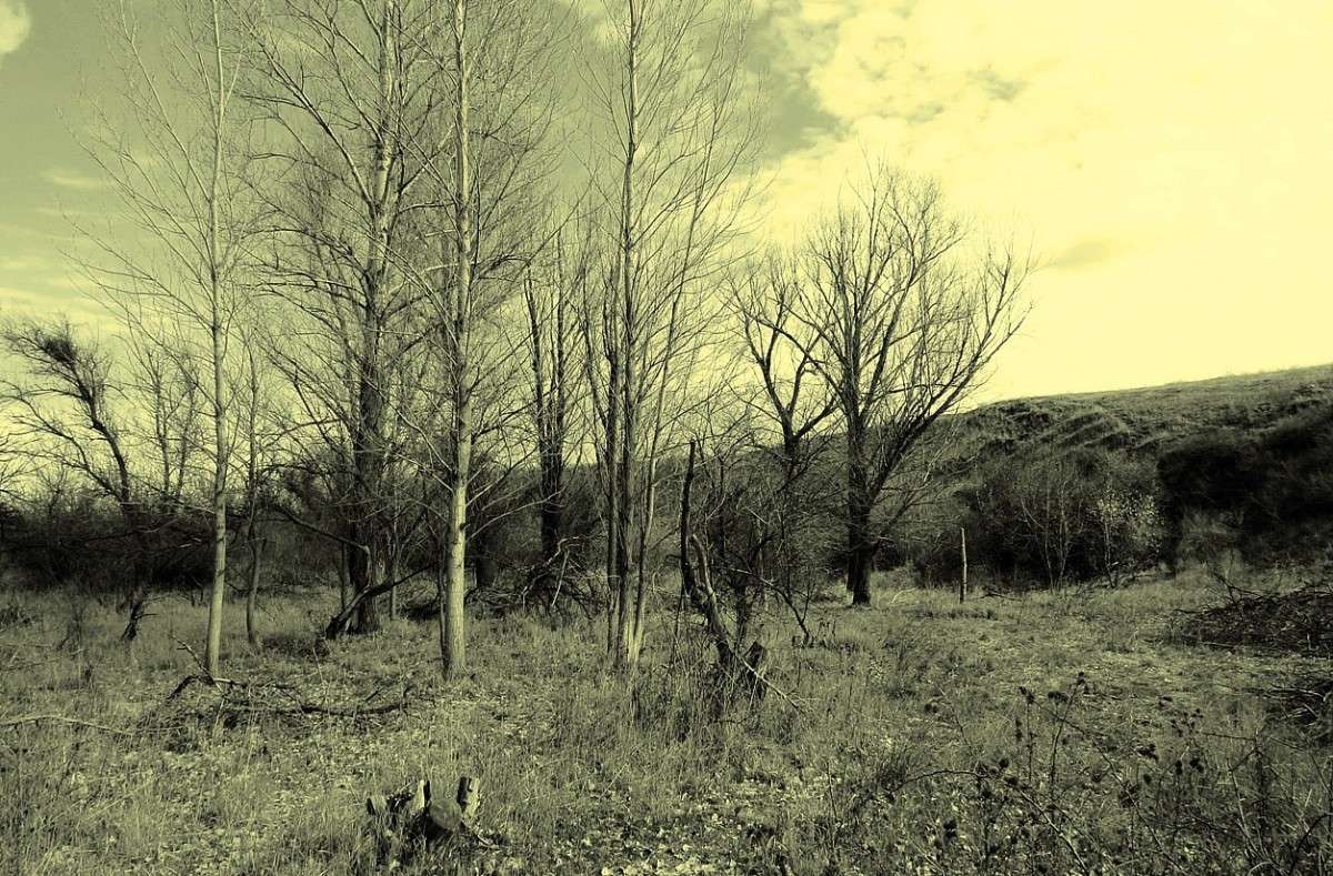 � ��� ������ ?! ) ����� Natali  ��������� �� PhotoGeek.ru #������ ��� �������