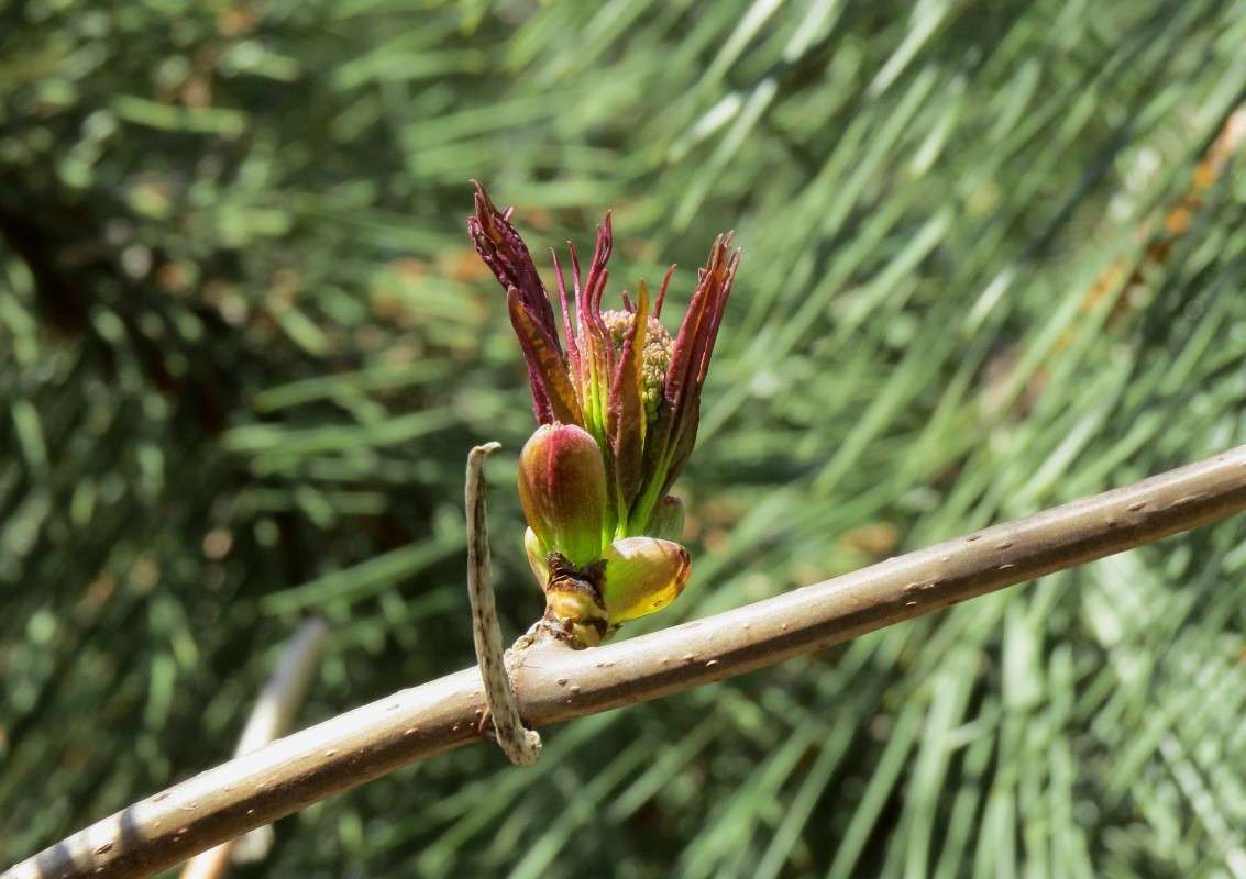 ... ����� Natali  ��������� �� PhotoGeek.ru #������ ��� ������� #����� ��������������