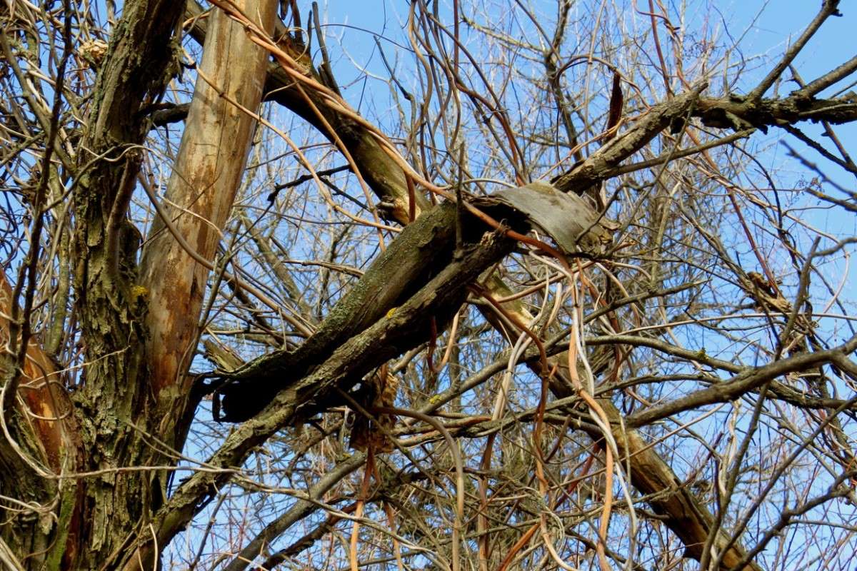 �� ��������� ����� Natali  ��������� �� PhotoGeek.ru #������ ��� ������� #����� ��������������