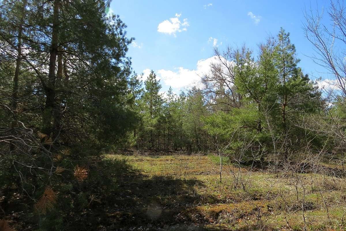 ��������� ���� ����� Natali  ��������� �� PhotoGeek.ru #������ ��� ������� #����� ��������������