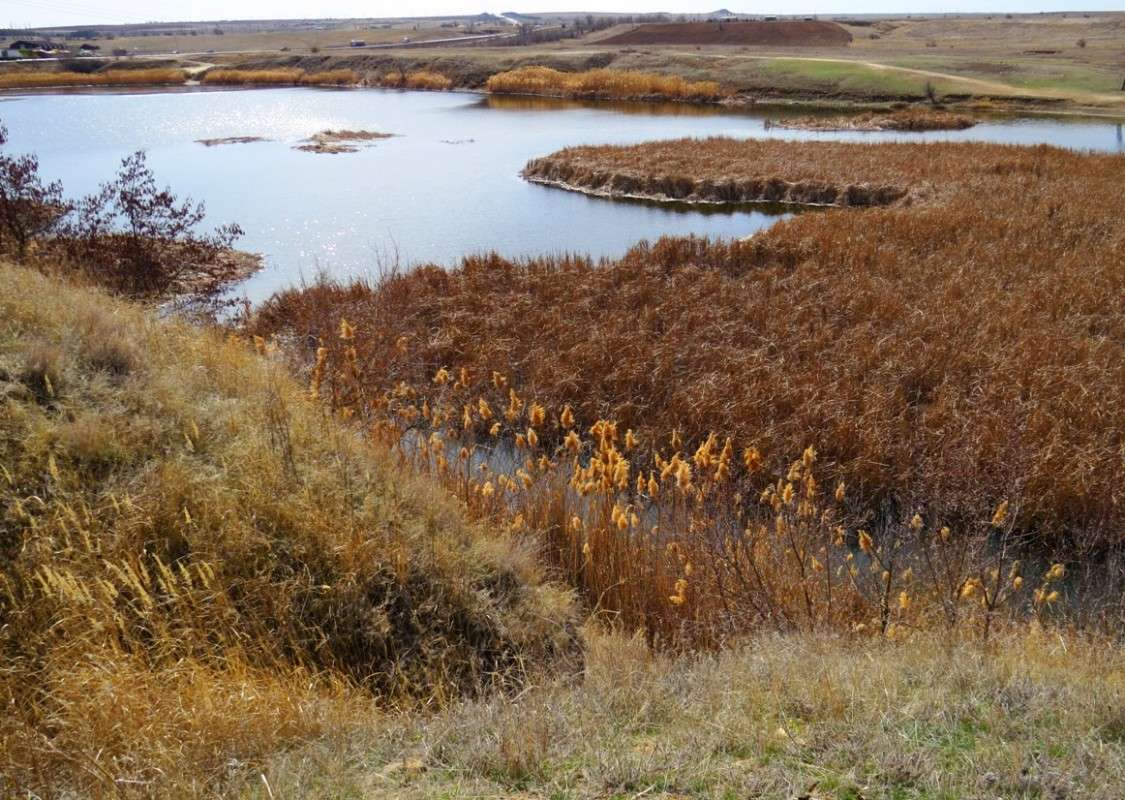 � ������, � ����� ... ����� Natali  ��������� �� PhotoGeek.ru #������ ��� ������� #����� ��������������