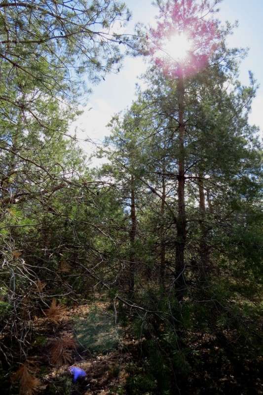 ��� ������� ����� Natali  ��������� �� PhotoGeek.ru #������ ��� ������� #����� ��������������