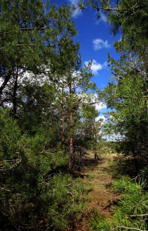 ��� ������� ... 2 ����� Natali  ��������� �� PhotoGeek.ru #������ ��� ������� #����� ��������������