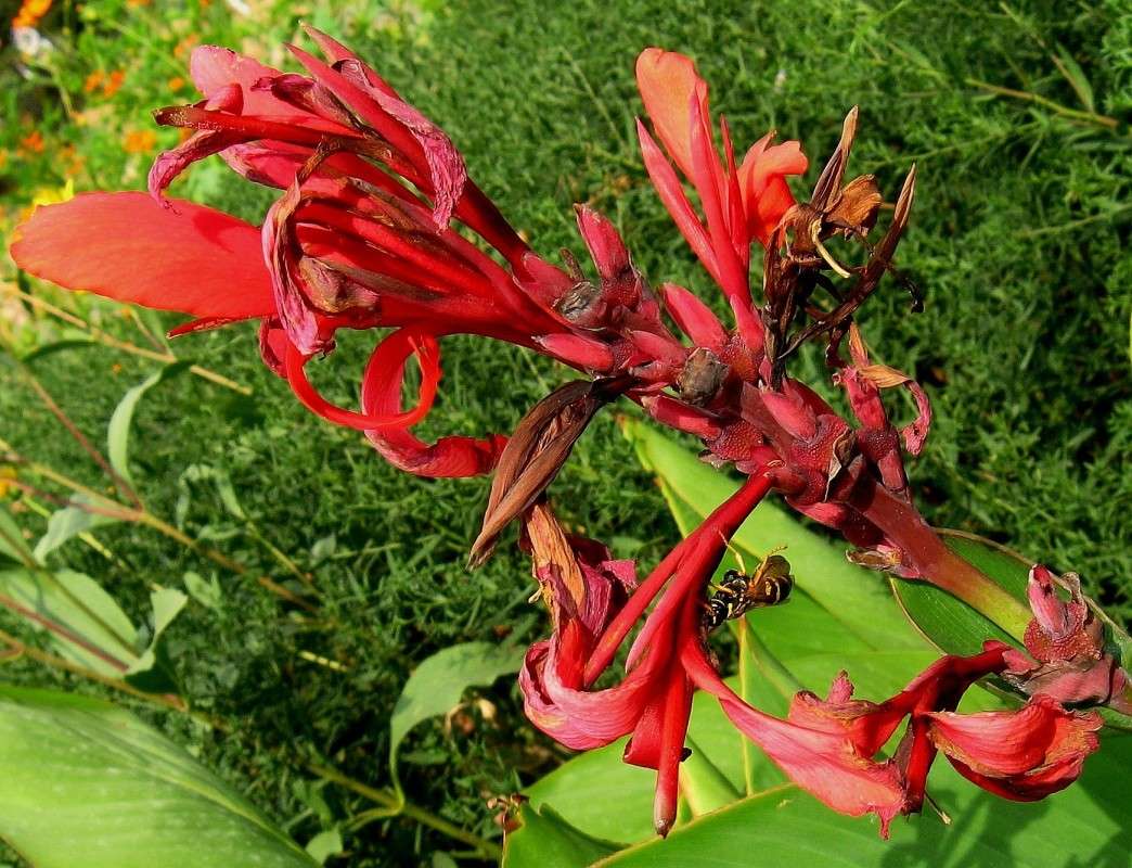 �  ������ � �������� ) ����� Natali  ��������� �� PhotoGeek.ru #�������� ��� #������ ��� ������� #����� �������������� #����� ��������