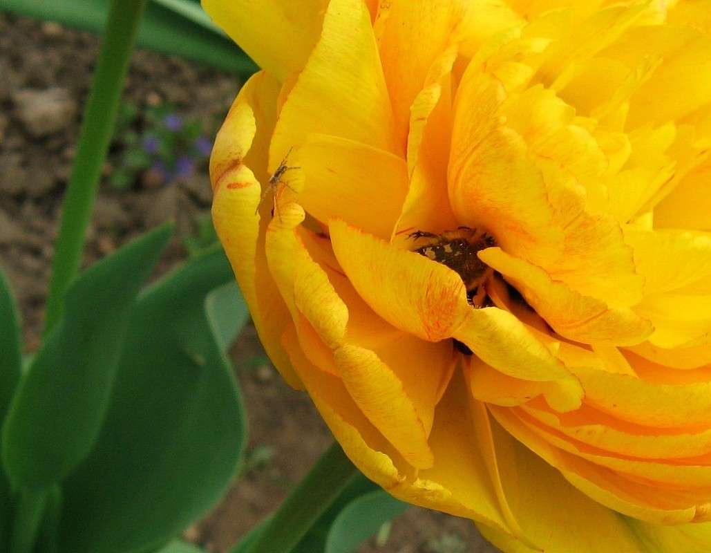 � ������ � �������� ... 2 ����� Natali  ��������� �� PhotoGeek.ru #������ ��� ������� #����� ��������������