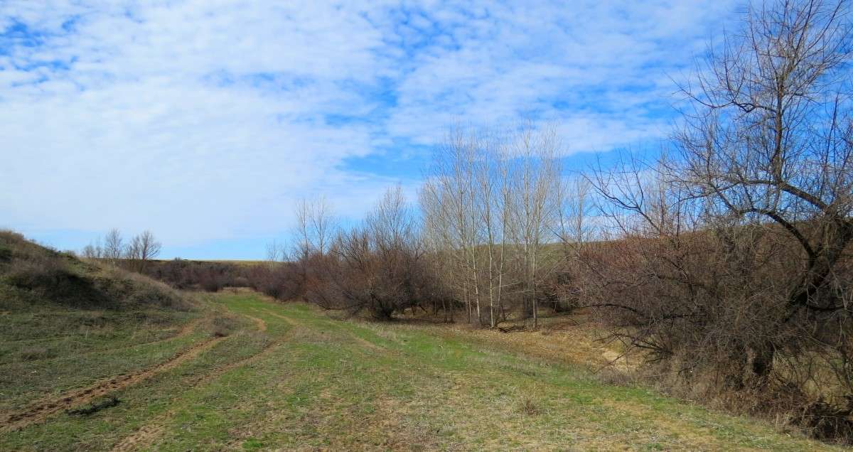 �������� �� ����� ����� Natali  ��������� �� PhotoGeek.ru #������ ��� �������