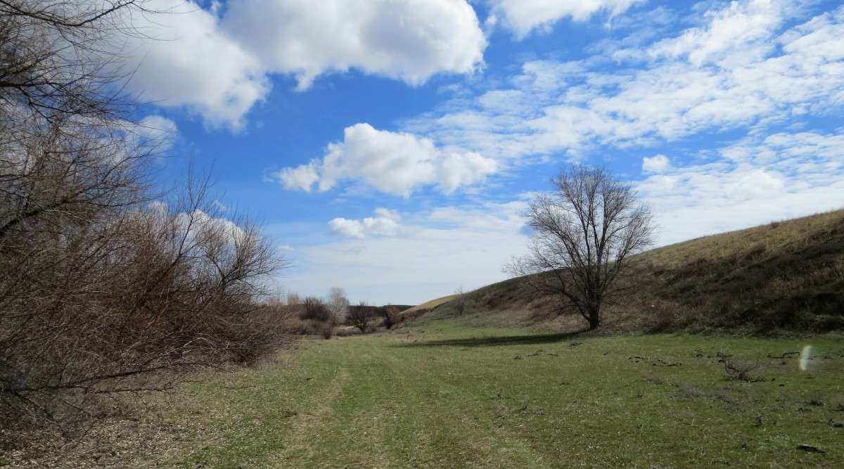 �������� �� ����� 3 ����� Natali  ��������� �� PhotoGeek.ru #������ ��� ������� #����� ��������������