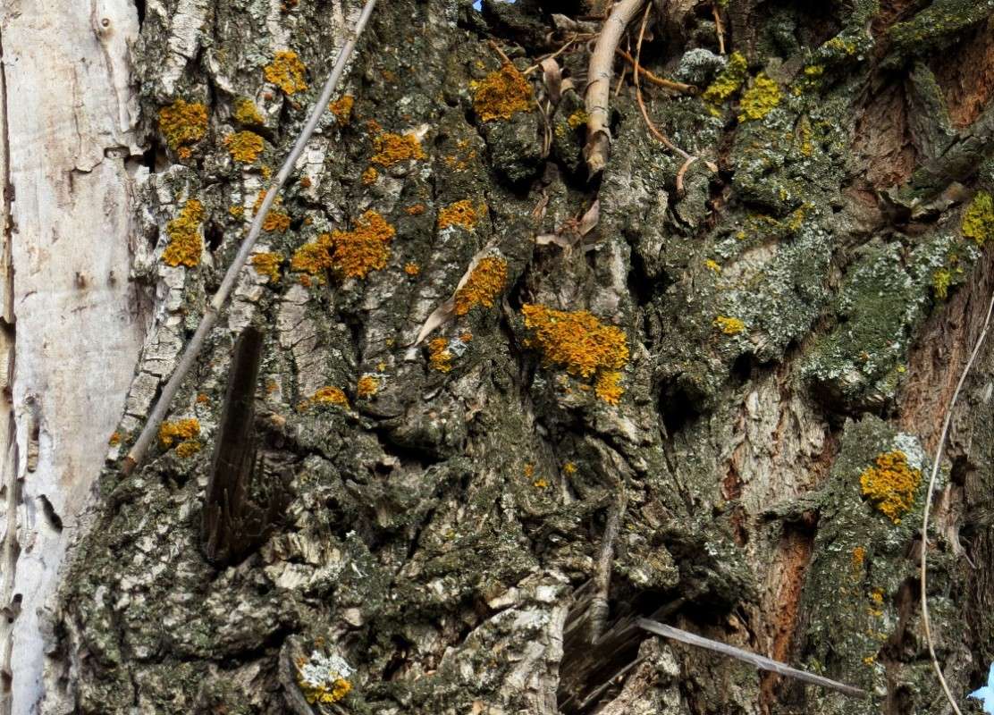 �������� �� ����� 2 ����� Natali  ��������� �� PhotoGeek.ru #����� ��������������