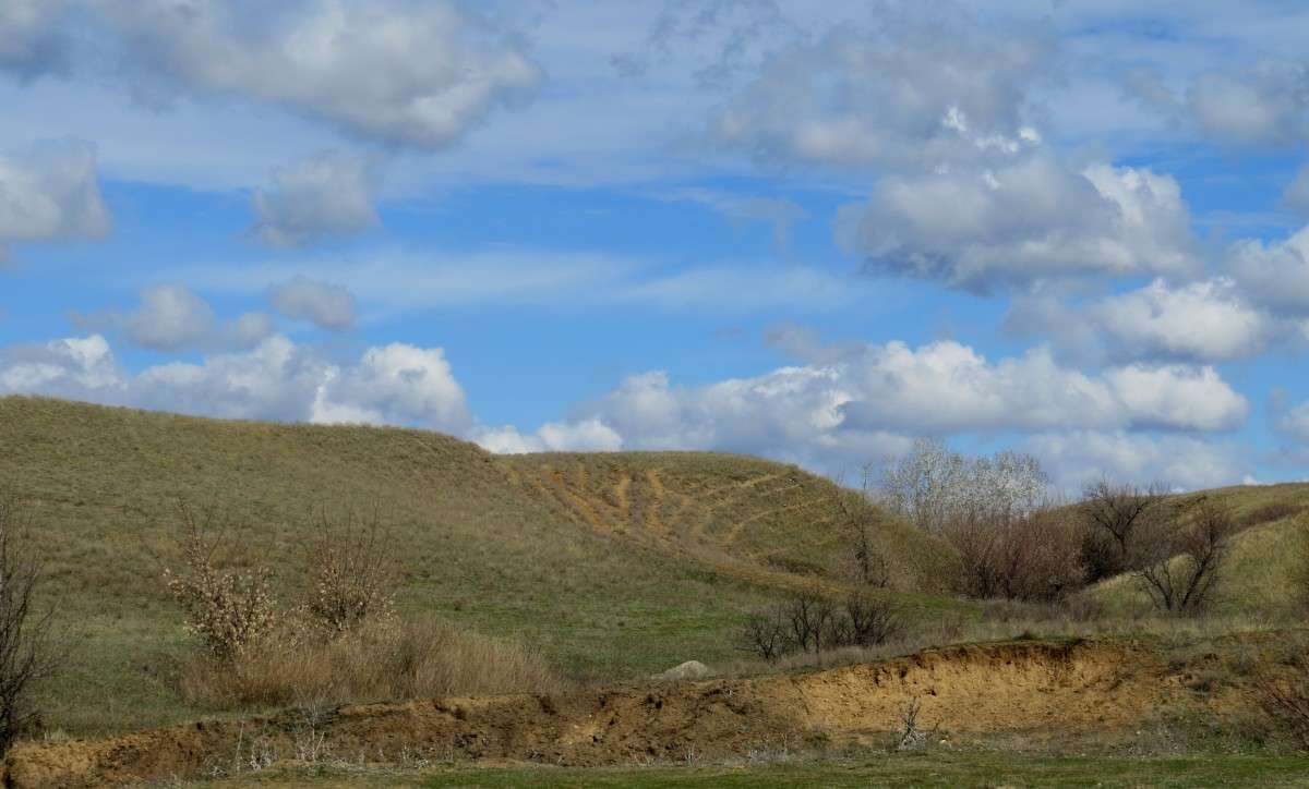 �������� �� ����� 4 ����� Natali  ��������� �� PhotoGeek.ru #������ ��� ������� #����� ��������������