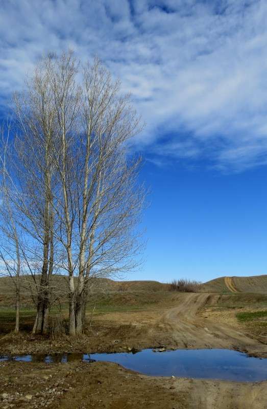 �������� �� ����� 5 ����� Natali  ��������� �� PhotoGeek.ru #������ ��� �������