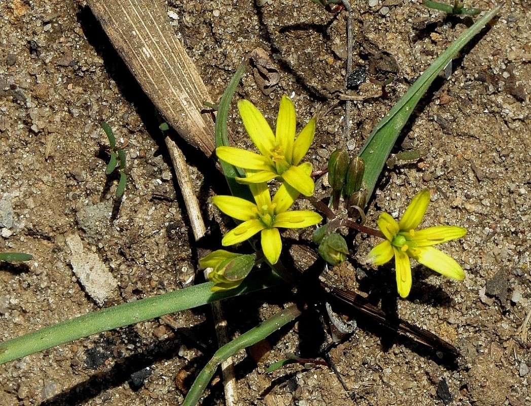 ... ����� Natali  ��������� �� PhotoGeek.ru #������ ��� ������� #����� ��������������