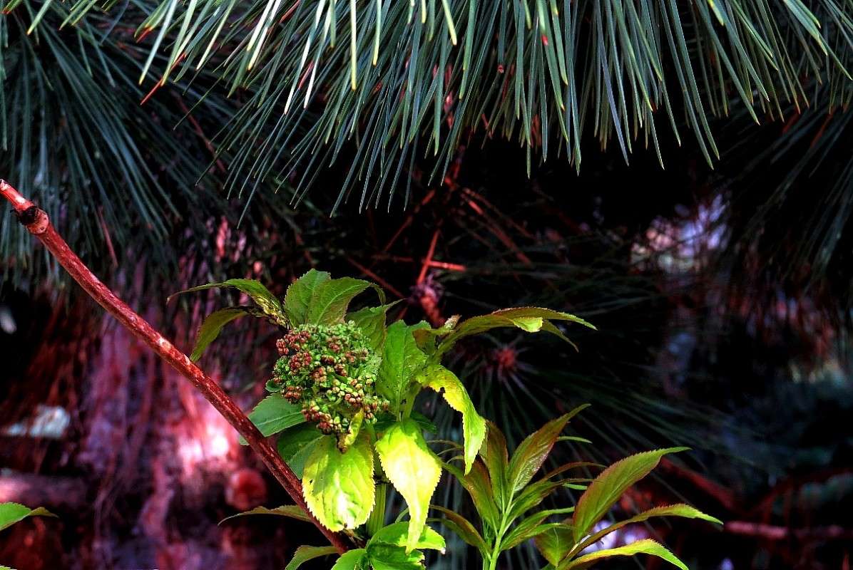 ��� �������� ) ����� Natali  ��������� �� PhotoGeek.ru #������ ��� ������� #����� ��������������