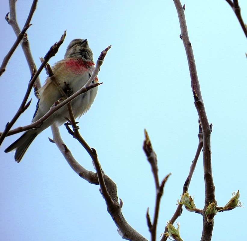 ����� �� ����� ) ����� Natali  ��������� �� PhotoGeek.ru #�������� ���