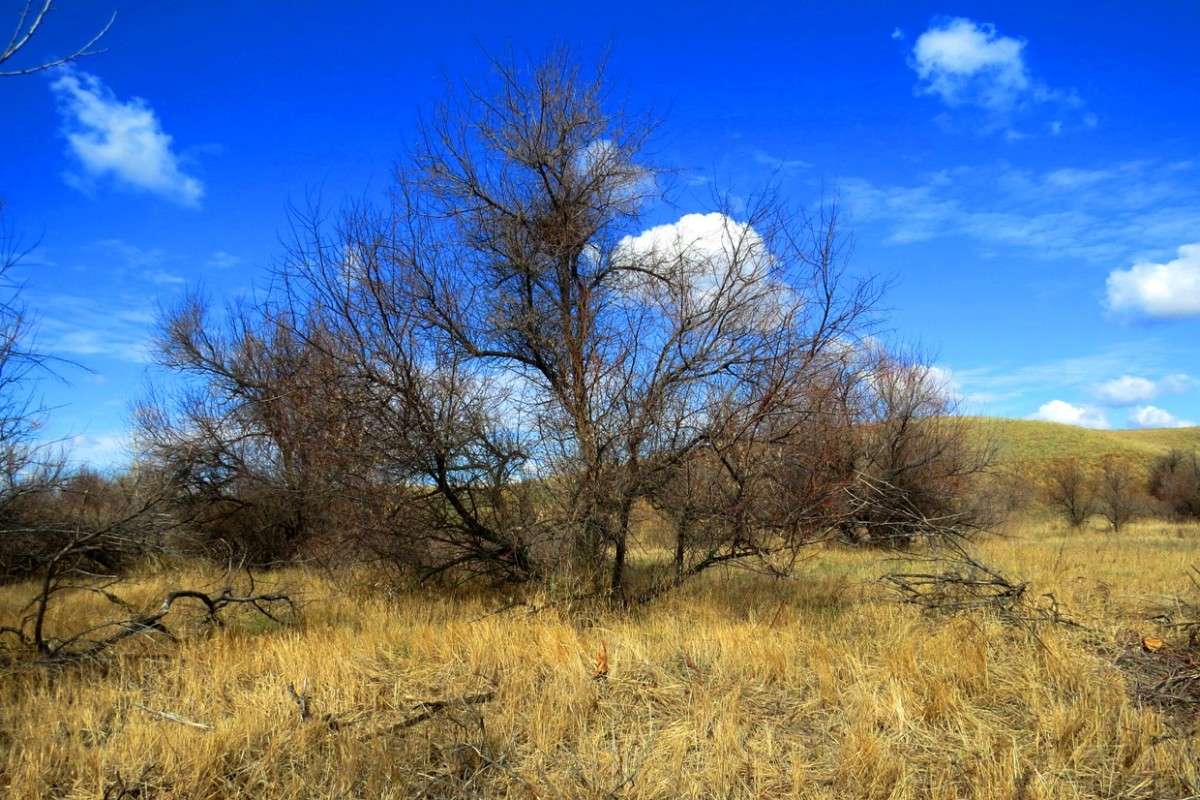 ������������� ����� 2015. ��� �����������. ����� Natali  ��������� �� PhotoGeek.ru #������ ��� ������� #����� ��������������