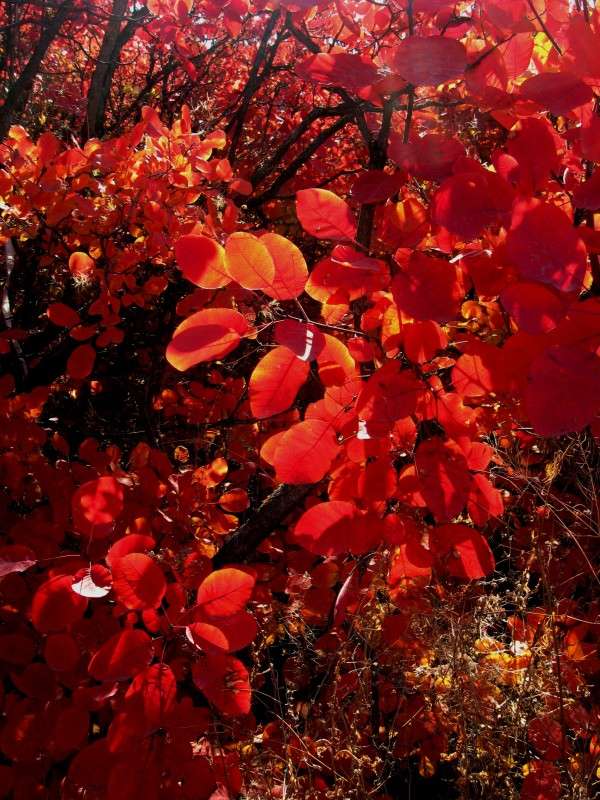 ������� ������� ��� ������� ������ 3 ����� Natali  ��������� �� PhotoGeek.ru #������ ��� ������� #����� ��������������