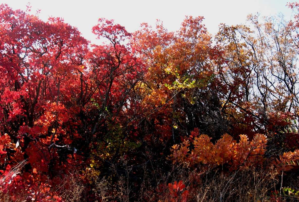 ������� ������� ��� ������� ������ 2 ����� Natali  ��������� �� PhotoGeek.ru #������ ��� ������� #����� ��������������