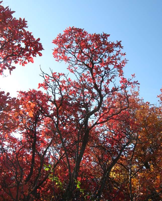 ������� ������� ��� ������� ������ ����� Natali  ��������� �� PhotoGeek.ru #������ ��� ������� #����� ��������������