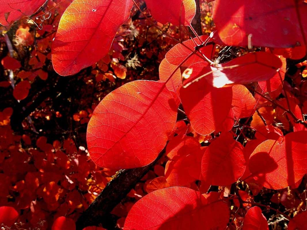 ������� ������� ��� ������� ������ 4 ����� Natali  ��������� �� PhotoGeek.ru #������ ��� ������� #����� ��������������