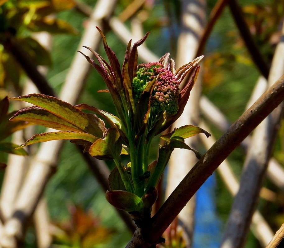 ������� � ��������� ... ) ����� Natali  ��������� �� PhotoGeek.ru #������ ��� ������� #����� ��������������